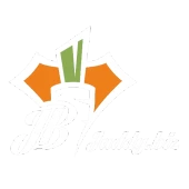 Juddy Biz