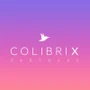 COLIBRIX PARTNERS - Company logo